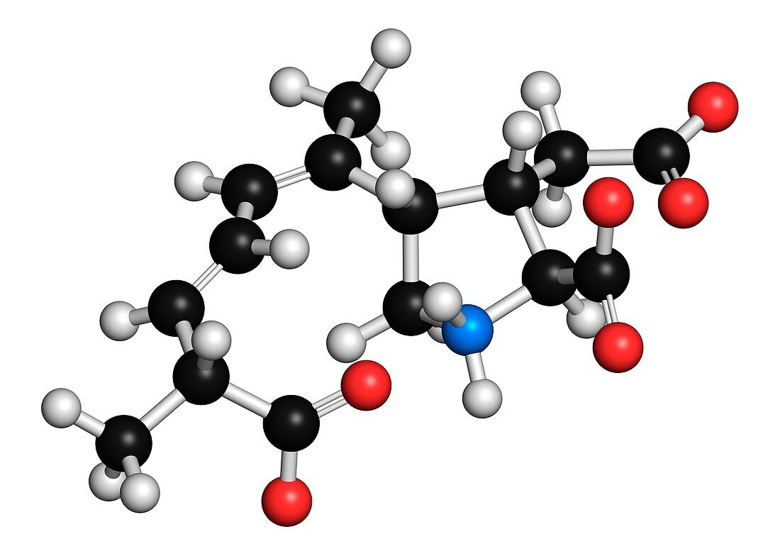 Domoic acid molecule,illustration