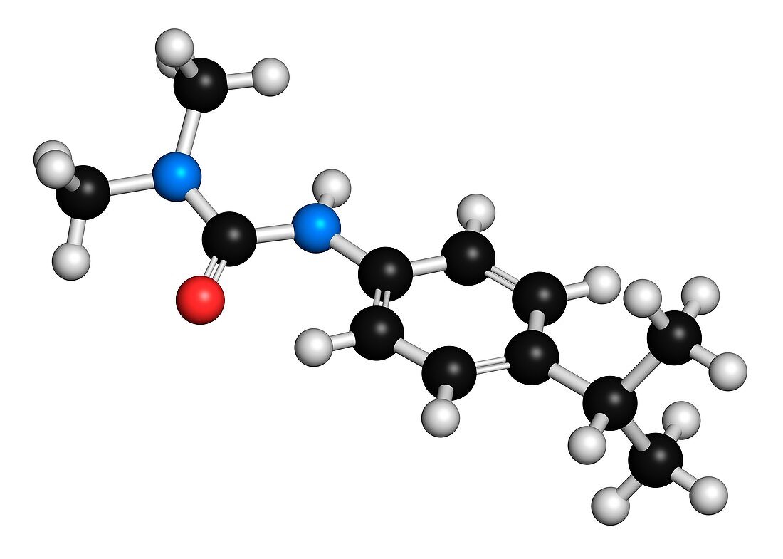 Isoproturon molecule,illustration