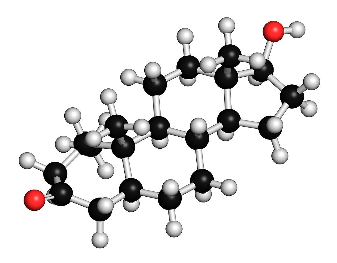 Mesterolone molecule,illustration