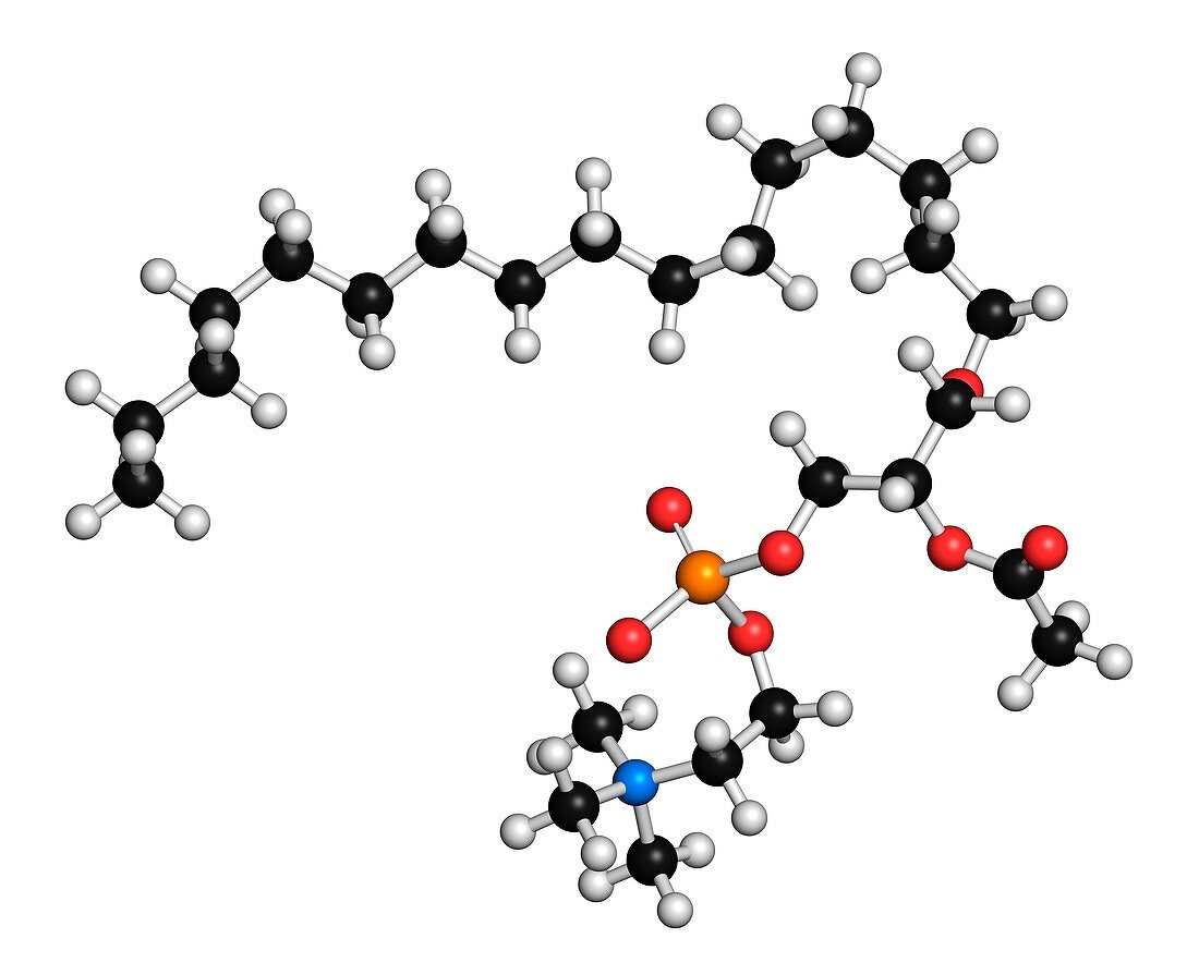 Platelet molecule,illustration