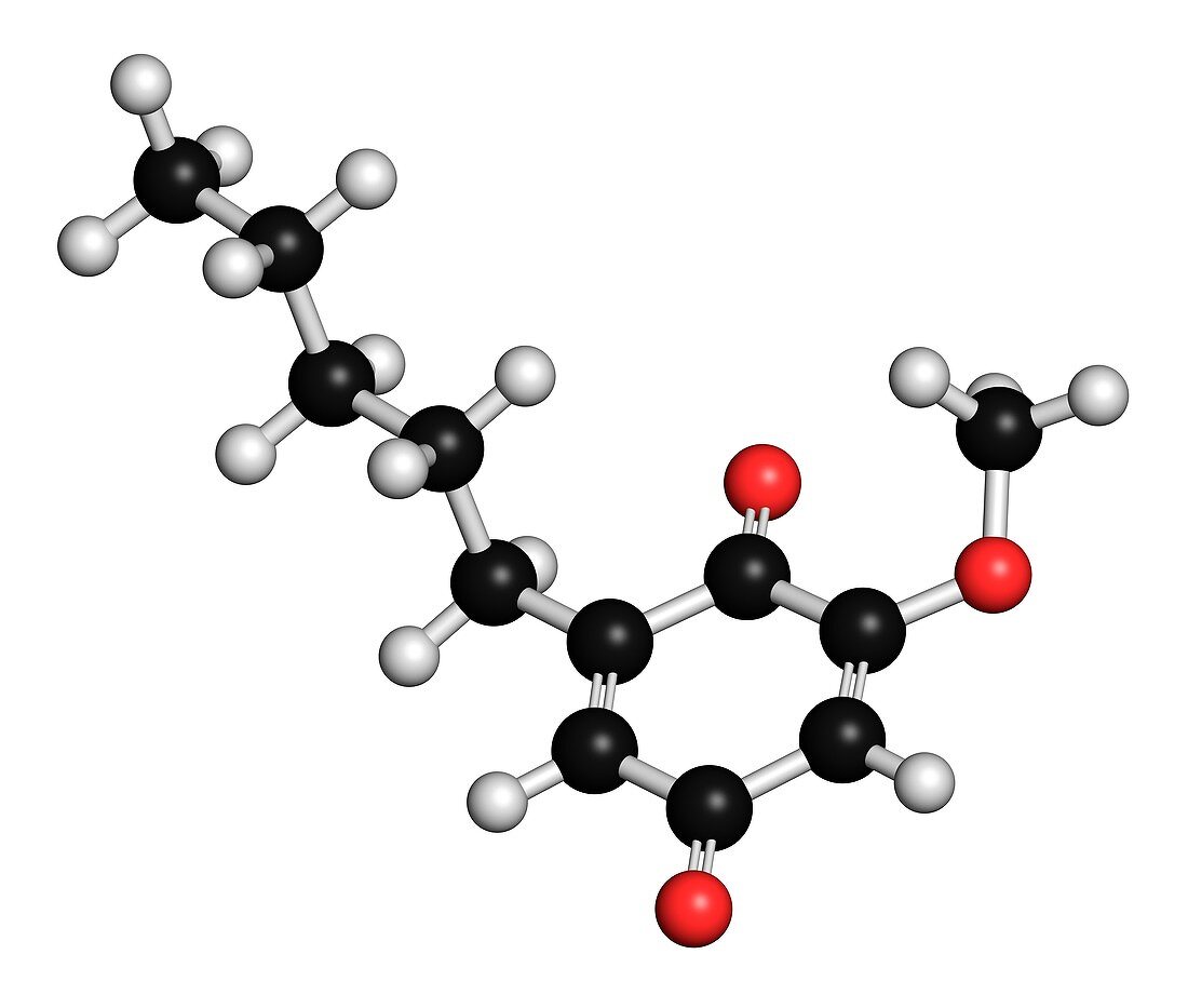 Primin allergen molecule,illustration