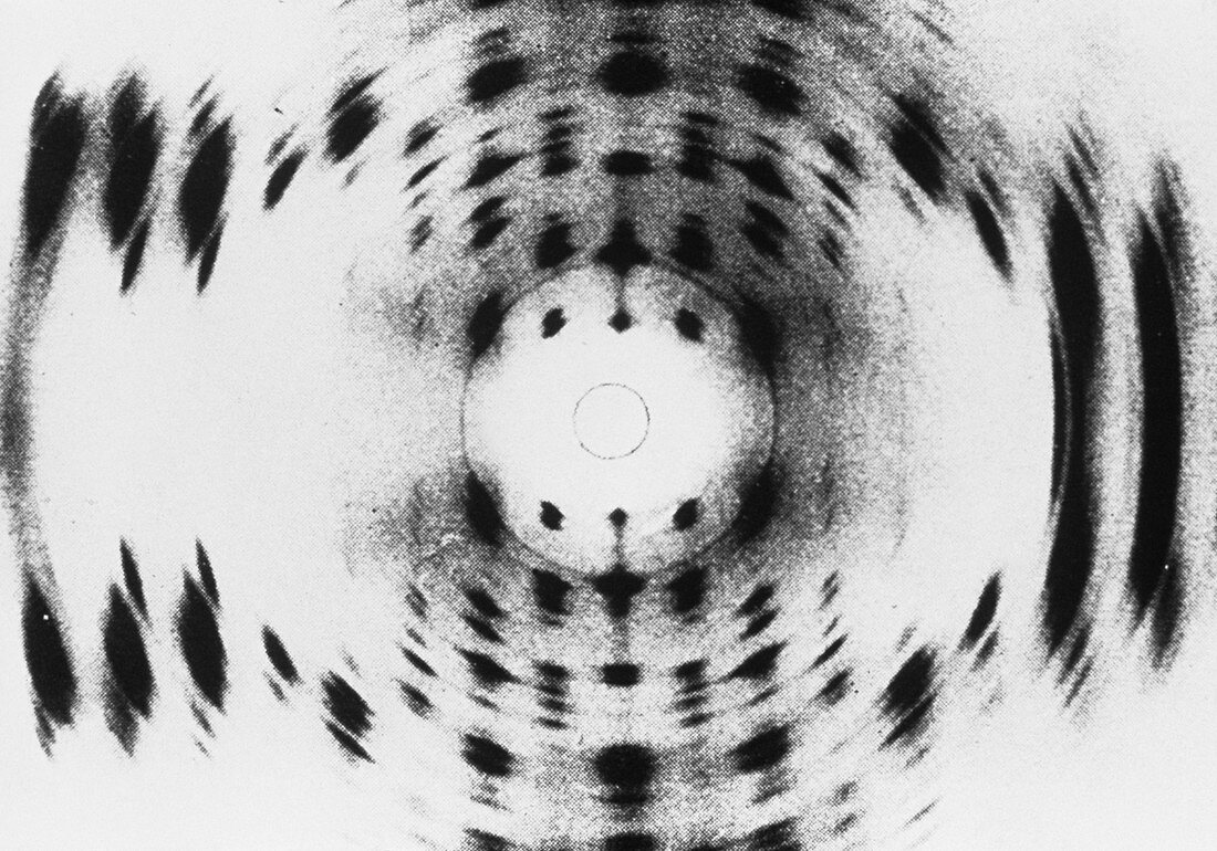X-ray diffraction image of the DNA molecule
