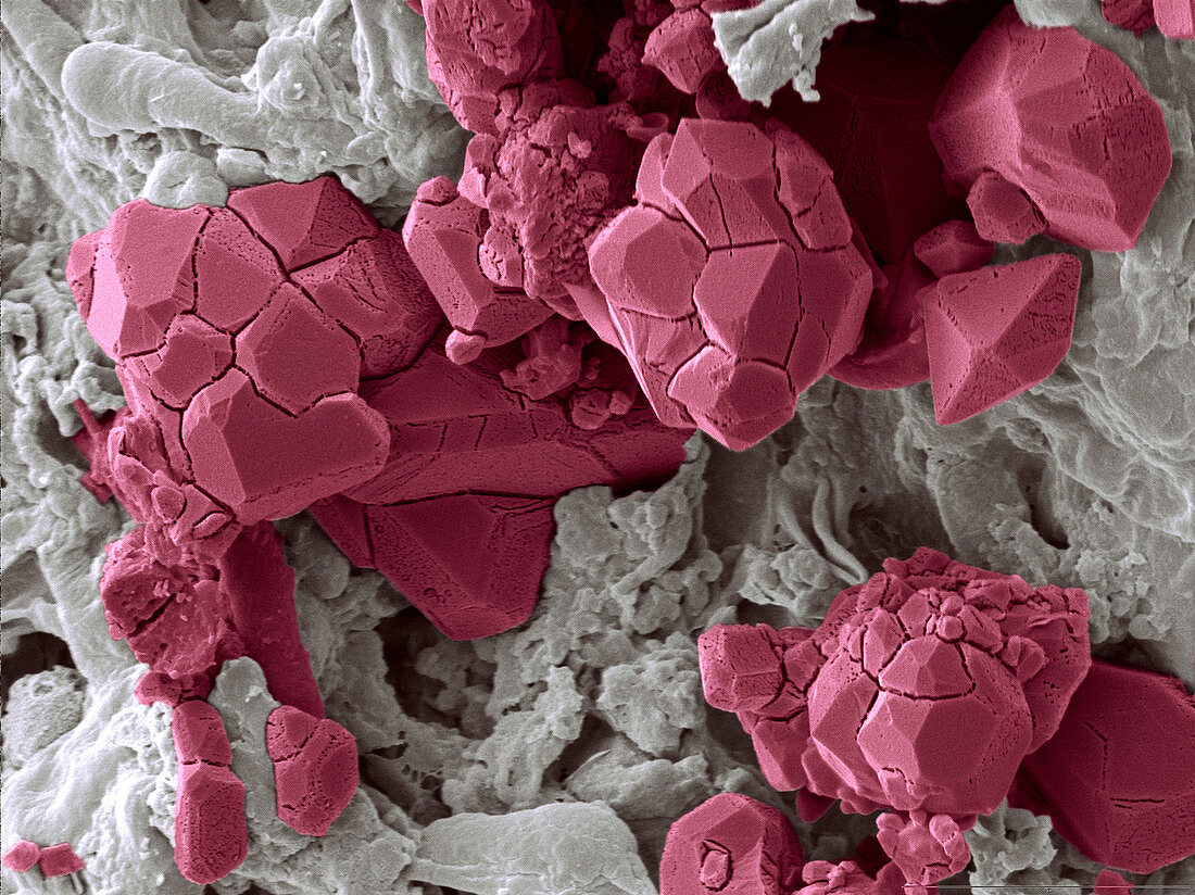 Natural statin crystals in red yeast rice