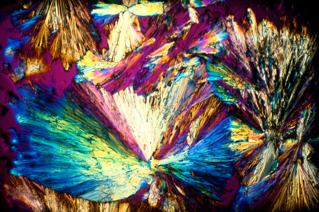 Polarised light micrograph of Aspartame sweetener