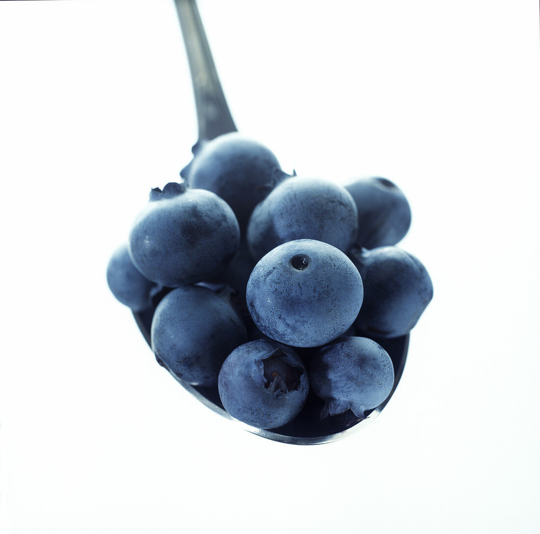 Blueberries on spoon