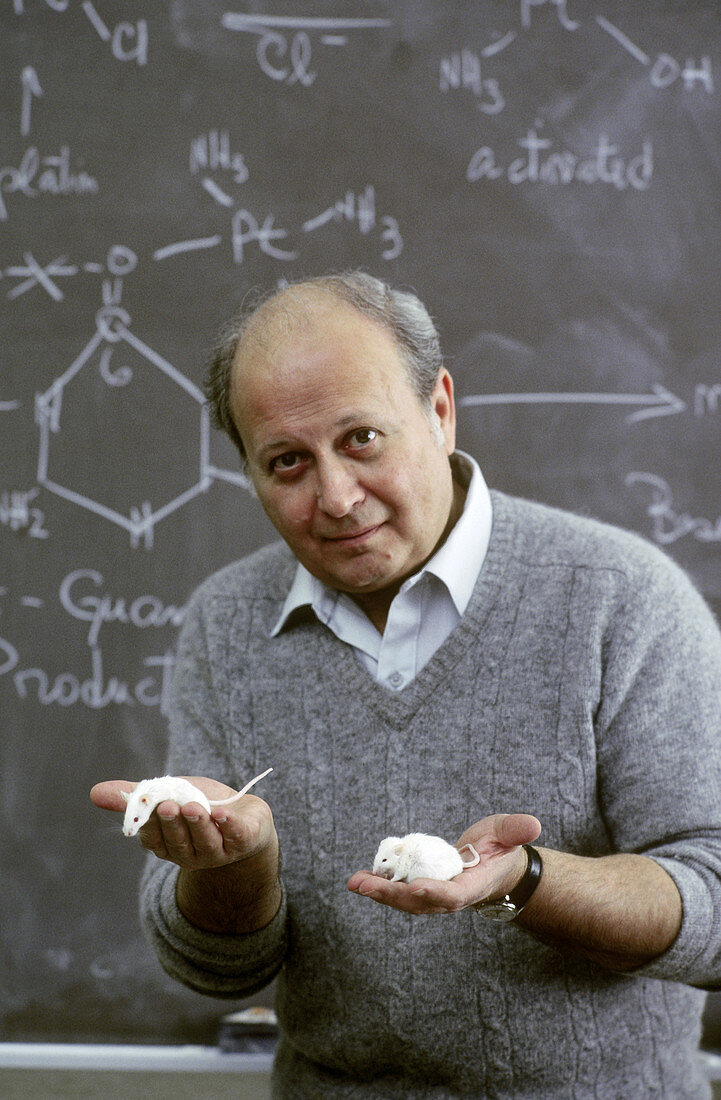 Dr. Barnett Rosenberg