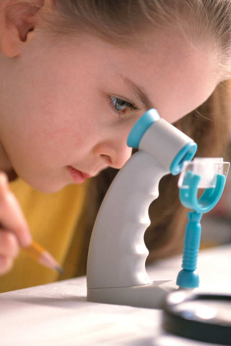 Girl looks through microscope