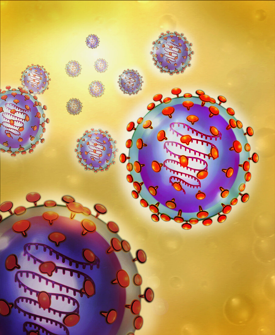 Illustration of SARS virus