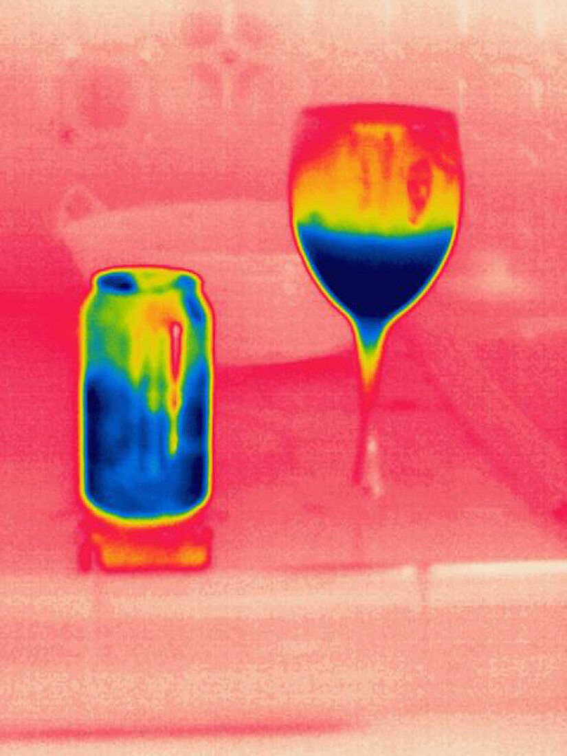 A thermogram of cool wine and cool soda