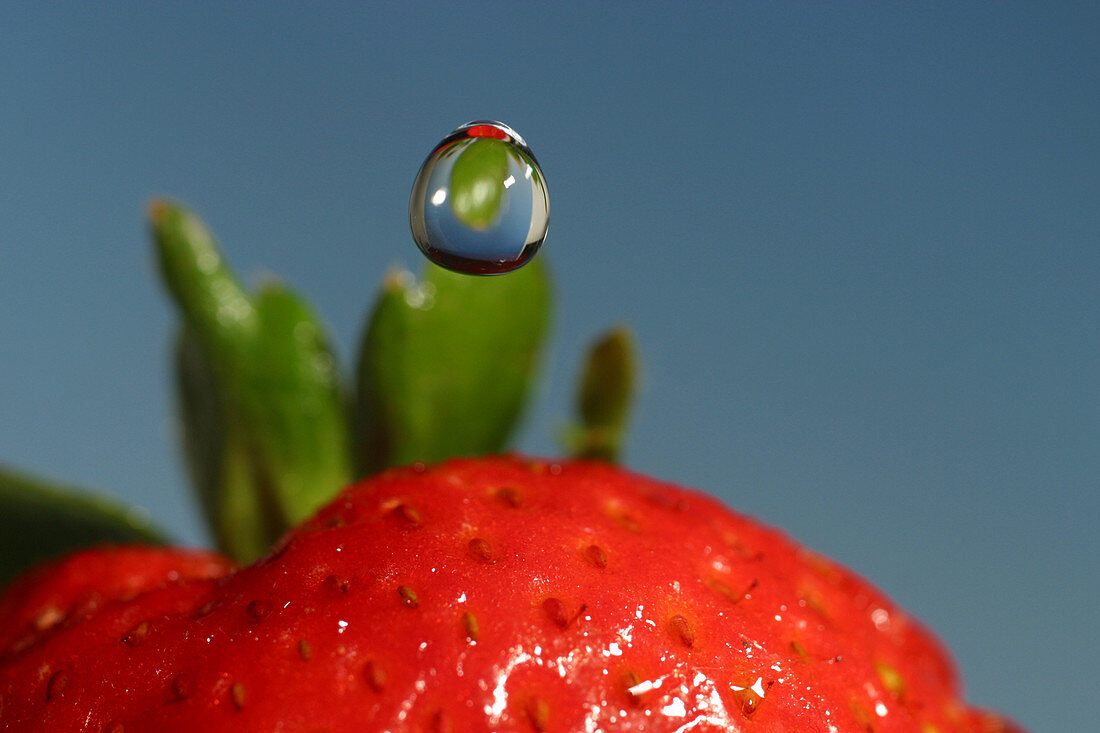 Droplet falling on a strawberry