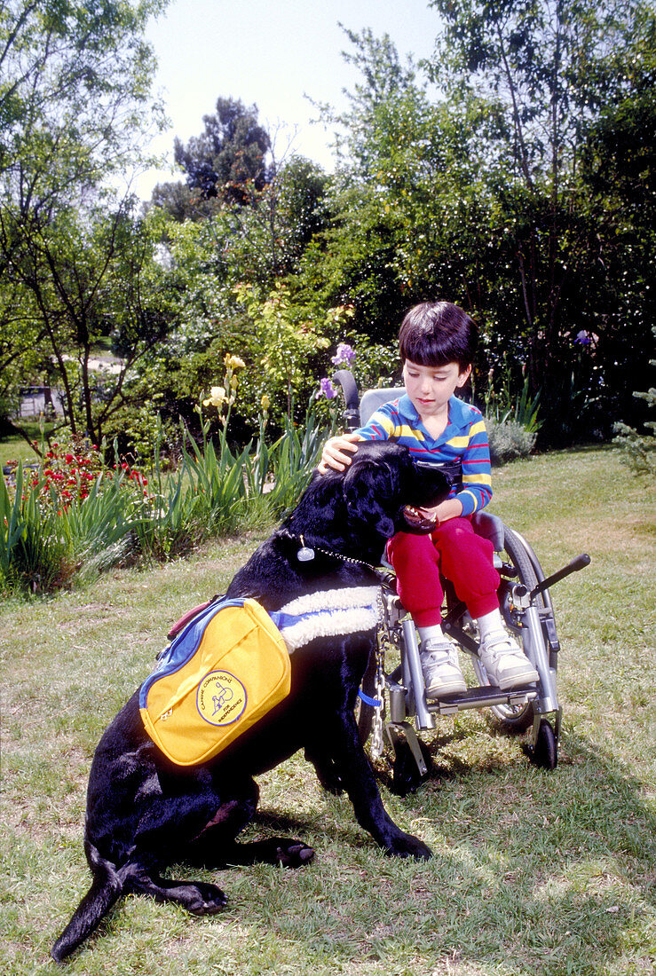 Disabled boy hugging his Canine Companion