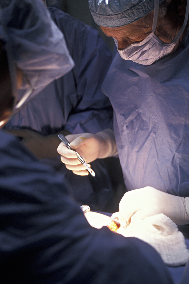 Thoracic Surgery