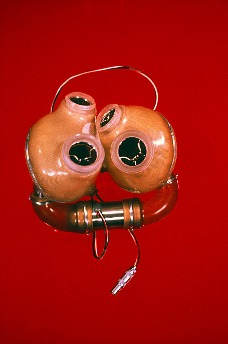 The Jarvik-7 artificial heart