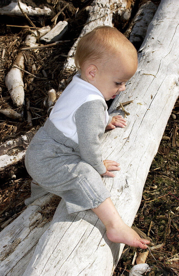 Toddler climbing over log