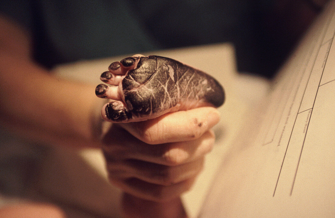 Newborn's Foot