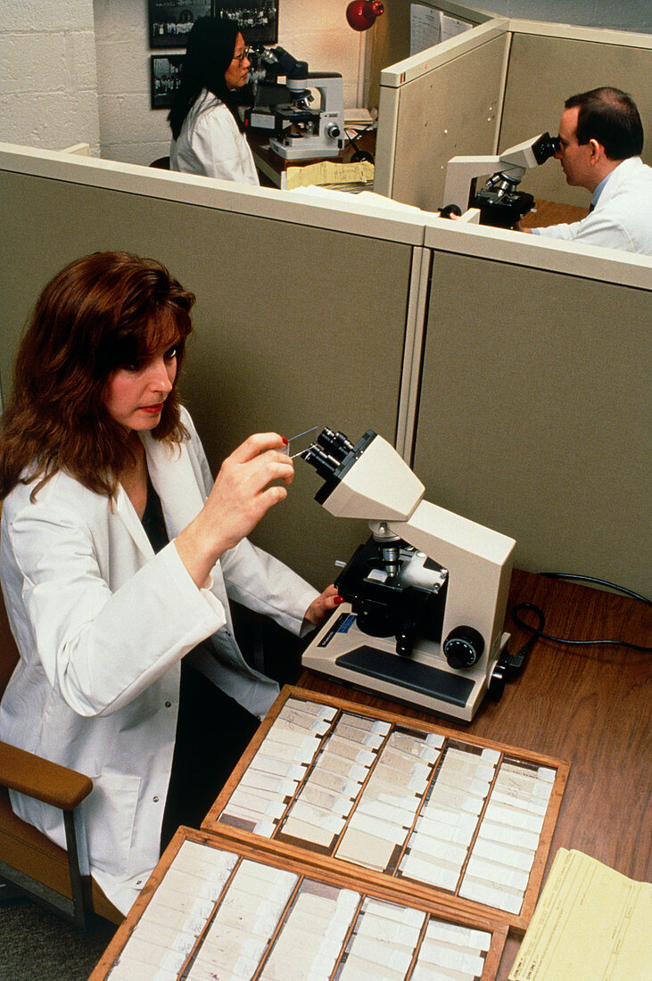 Pathology lab technician analysing cervical smears