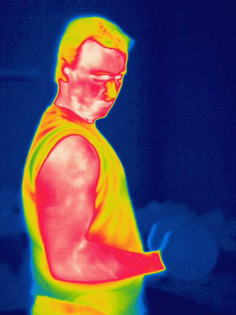 A thermogram of a weight lifter