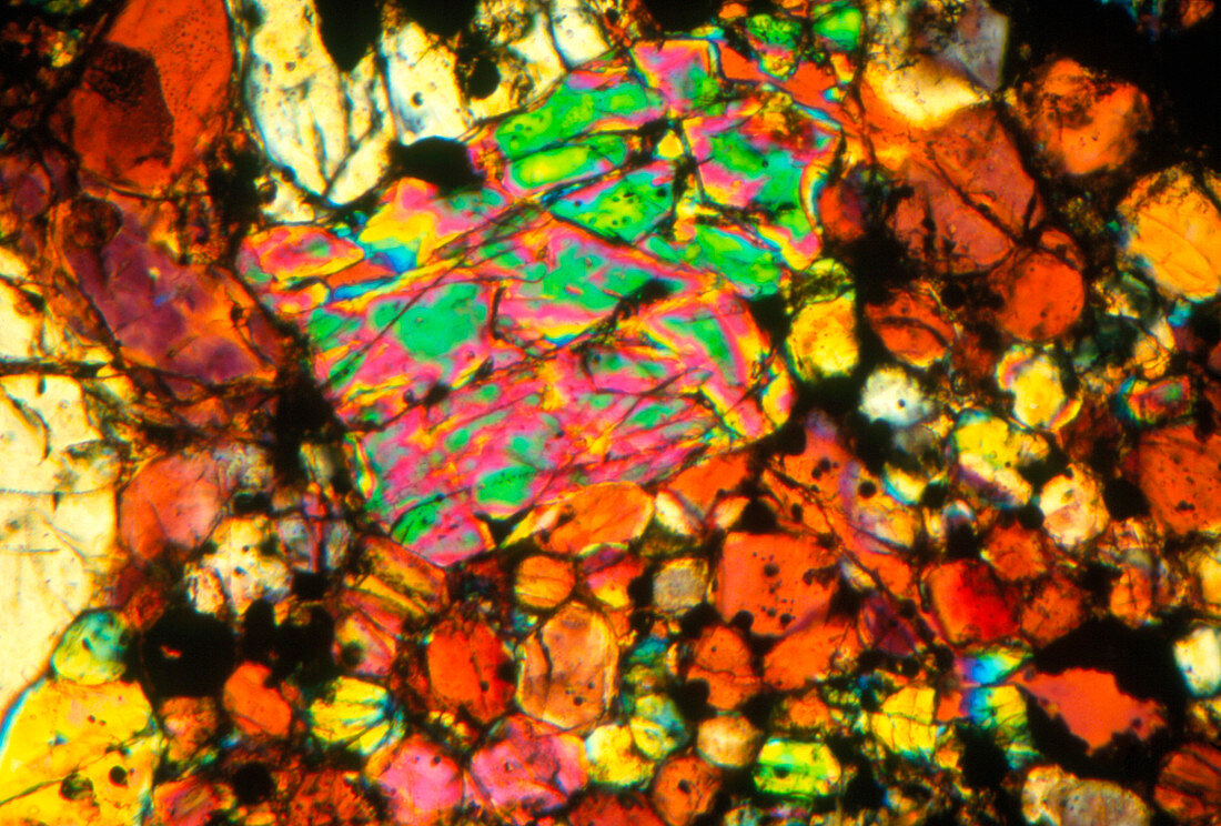 PLM of a section through an Allende meteorite