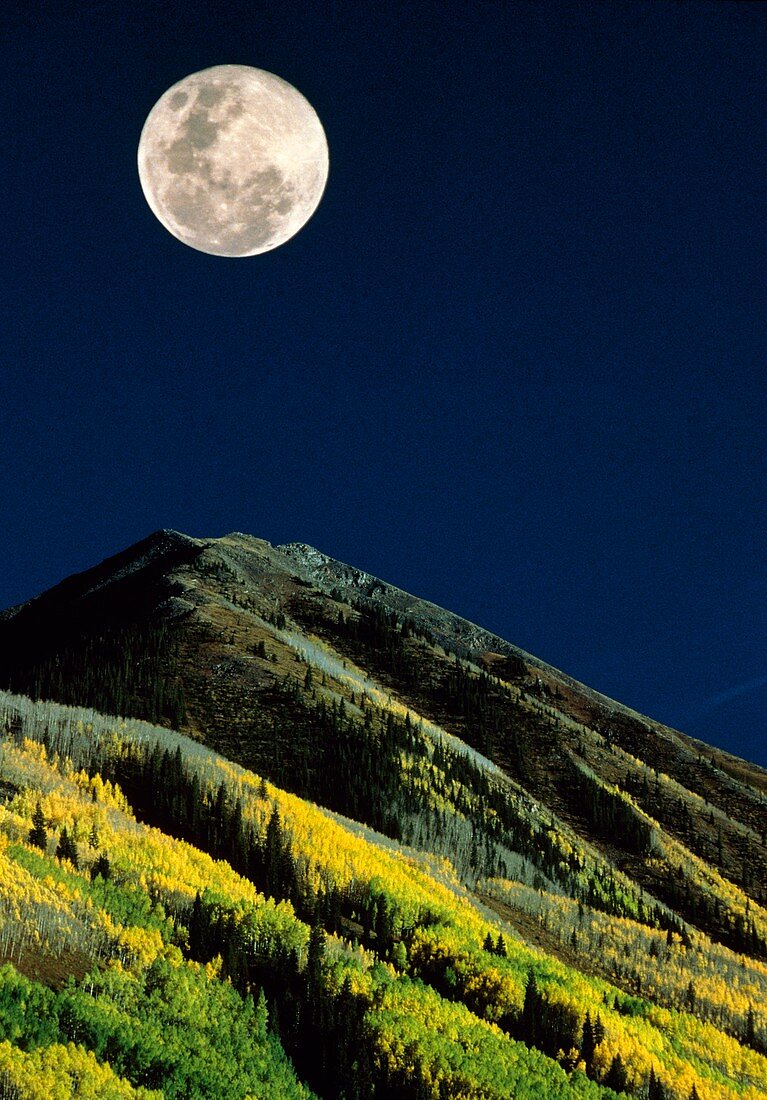 Full moon seen over an autumn landscape