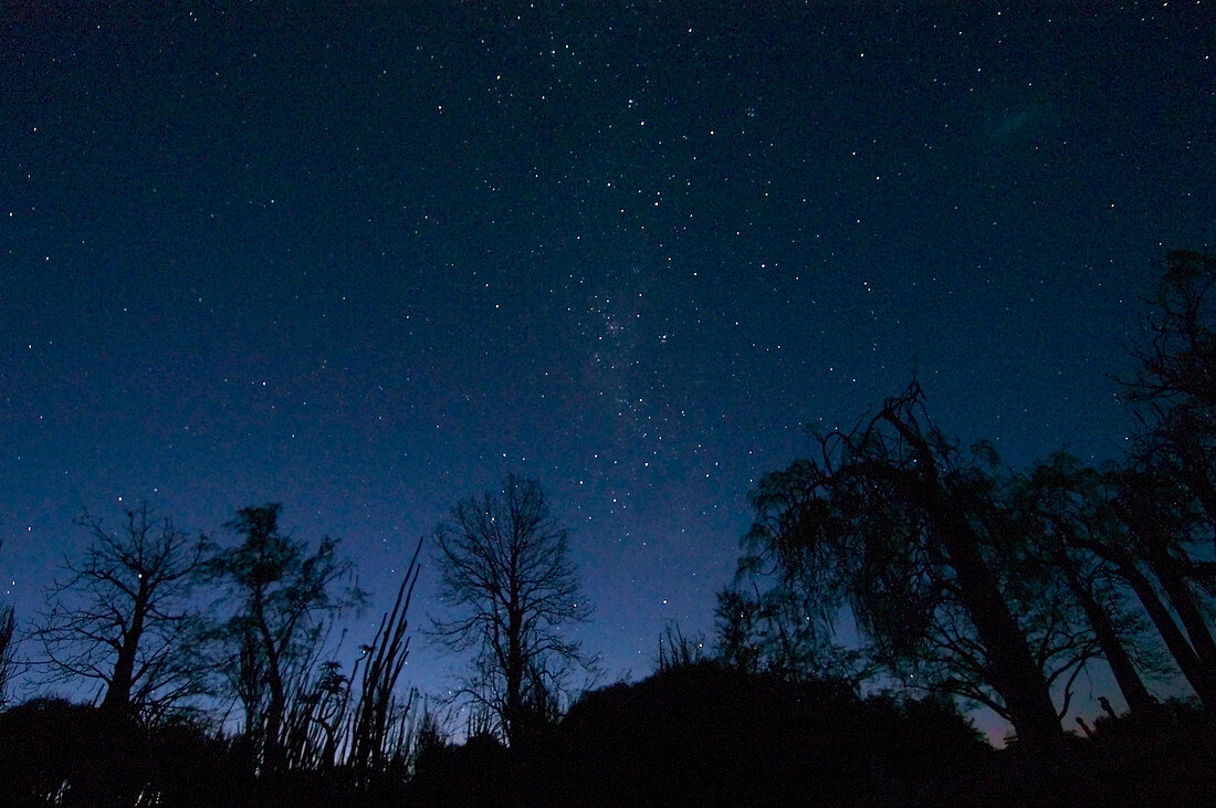 'Night sky and Milky Way,S. Madagascar'