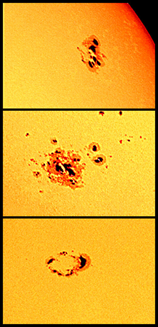 Sun & Sunspot 10484
