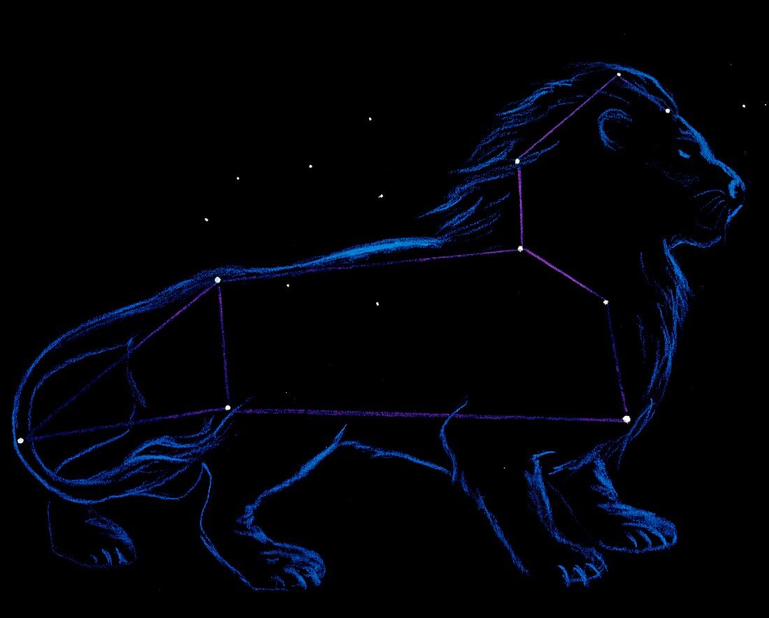 Artwork of the zodiacal constellation Leo