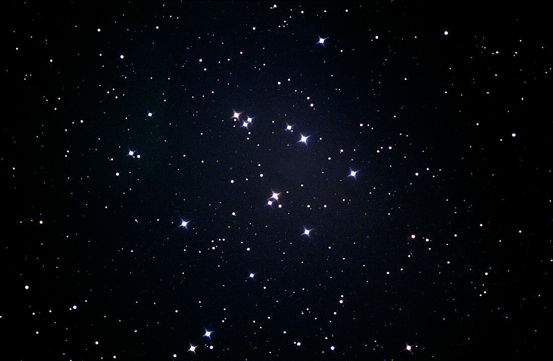 Beehive Star cluster