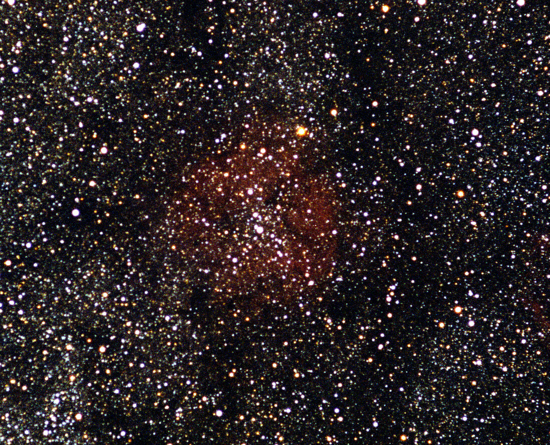 Cepheus and IC1396 nebula complex