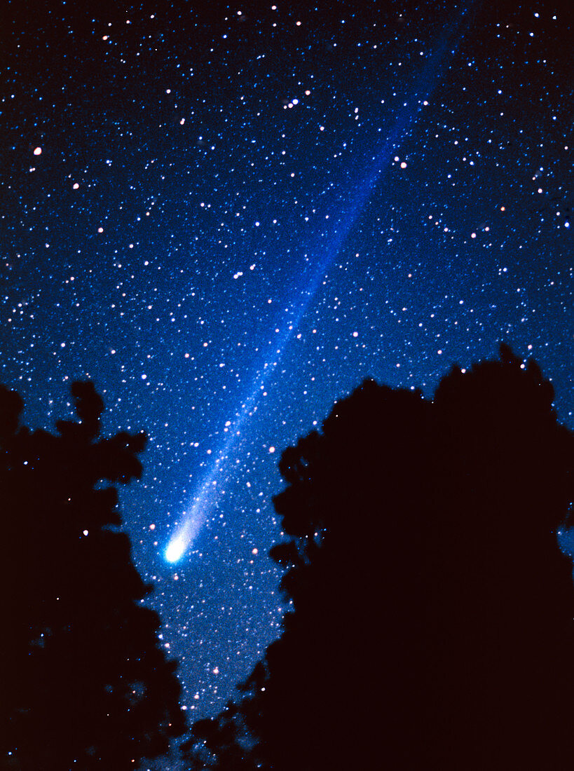 Comet Hyakutake over trees on 2nd March 1996