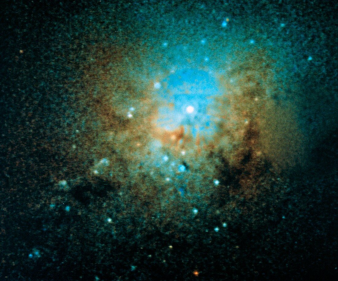 Hubble Space Telescope image of core of NGC 1275
