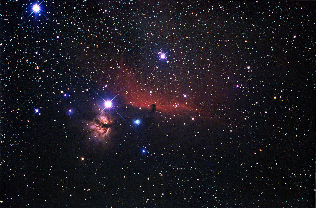 Horsehead Nebula region