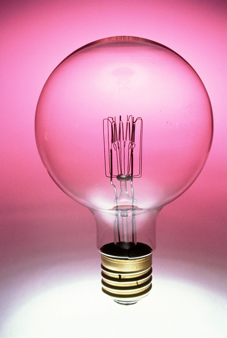 Light bulb