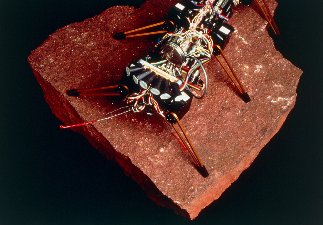 Robot insect 'Genghis',MIT