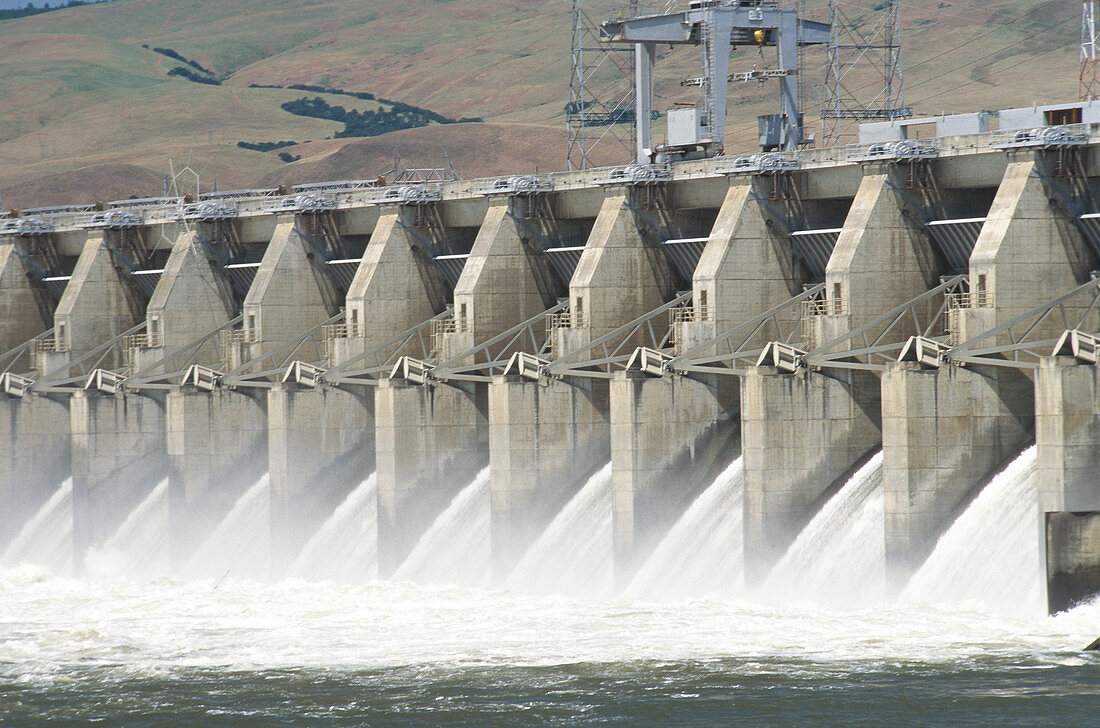 The Dalles hydroelectric dam