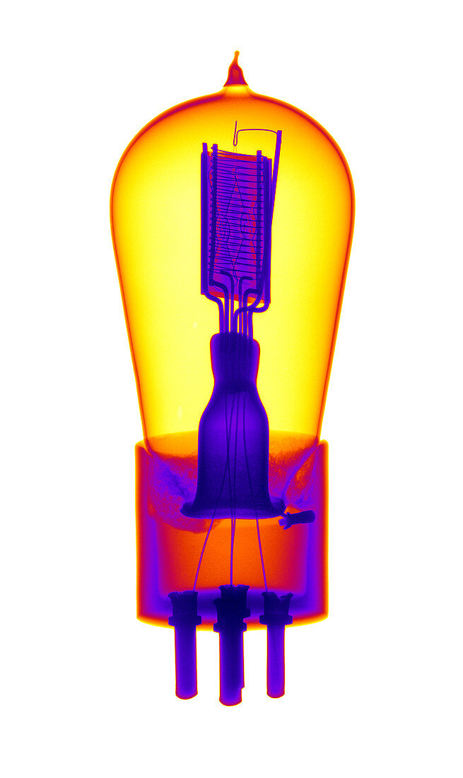 An X-ray of Historic Audion vacuum tube