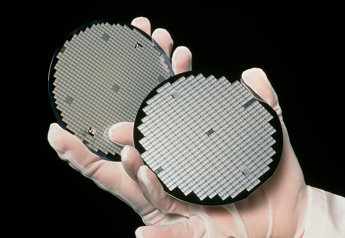 Gloved hands holding processed silicon wafers