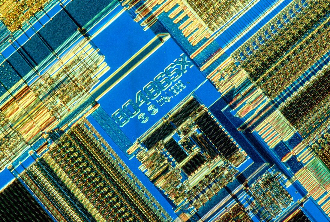 Light micrograph of an Intel 486 computer chip