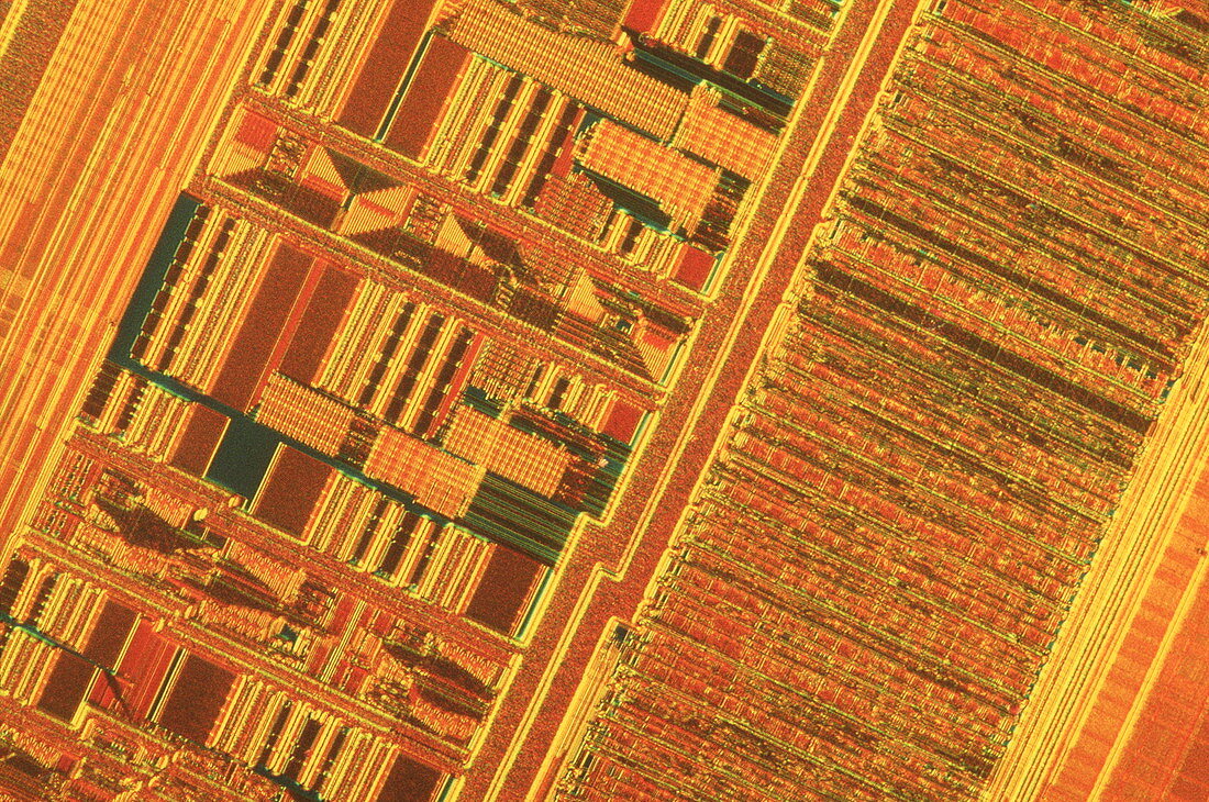 Light micrograph of a Pentium computer chip