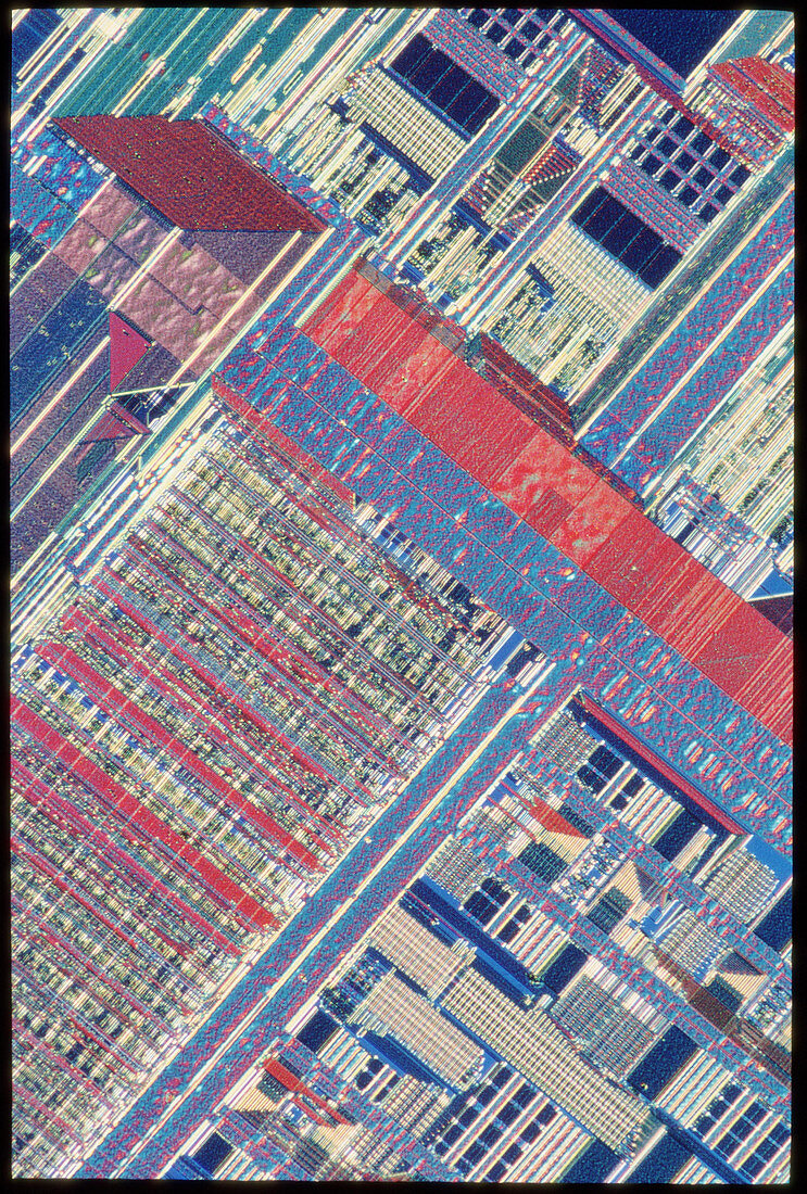 Light micrograph of an Intel Pentium processor