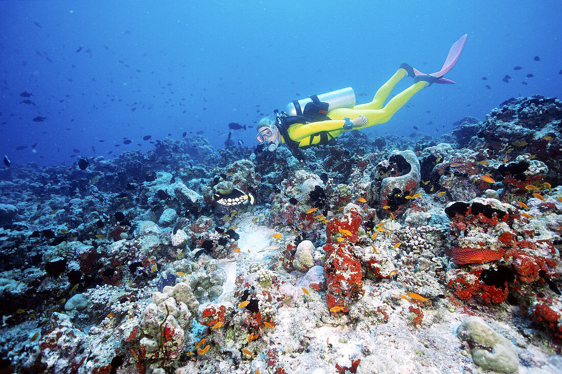 Diver,Mahlos Thila,Ari Atoll,Maldives