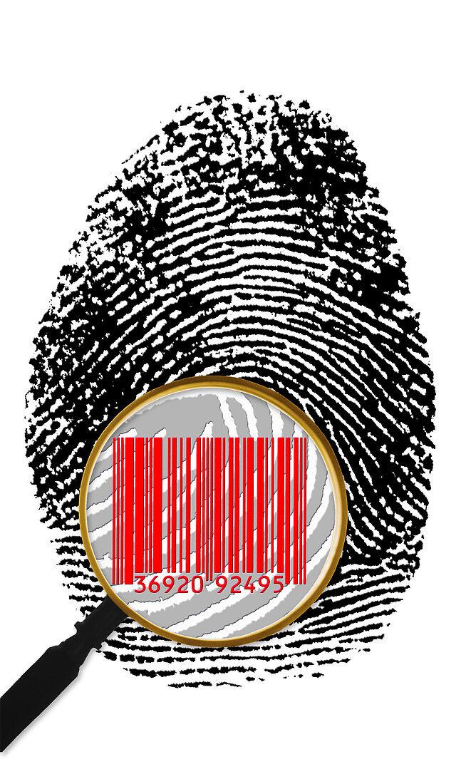 Thumbprint identification