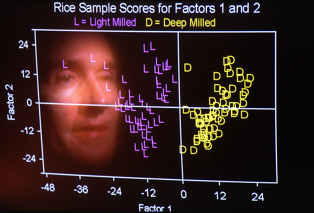 Rice texture data
