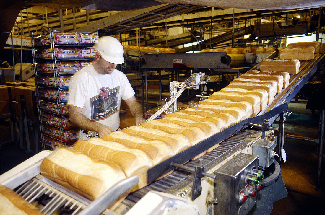Commercial bread bakery