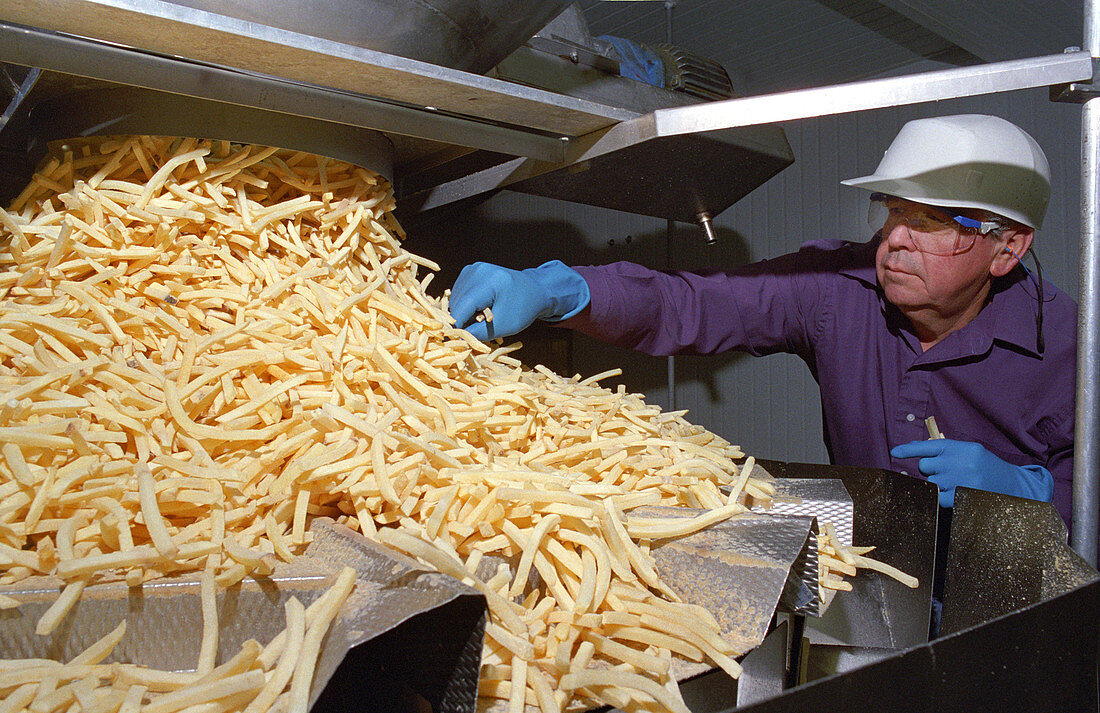 French Fry Sorting