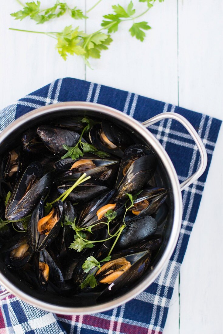 Mussels in a herb broth