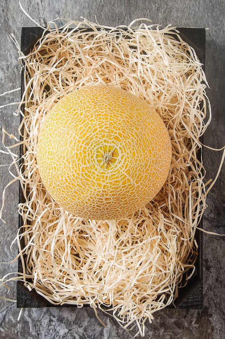 A yellow cantaloupe melon on straw (seen from above)