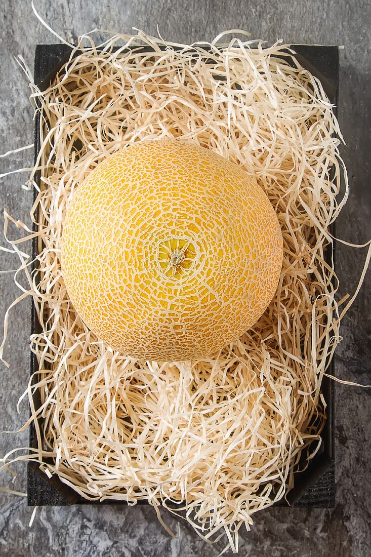 Eine gelbe Netzmelone auf Stroh (Aufsicht)