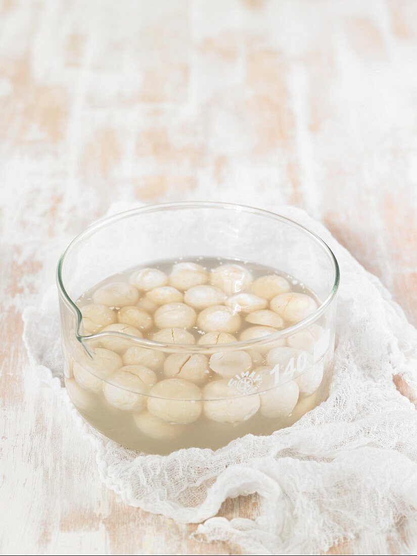 How to prepare vegan macadamia nut cheese: macadamia nuts being soaked in water