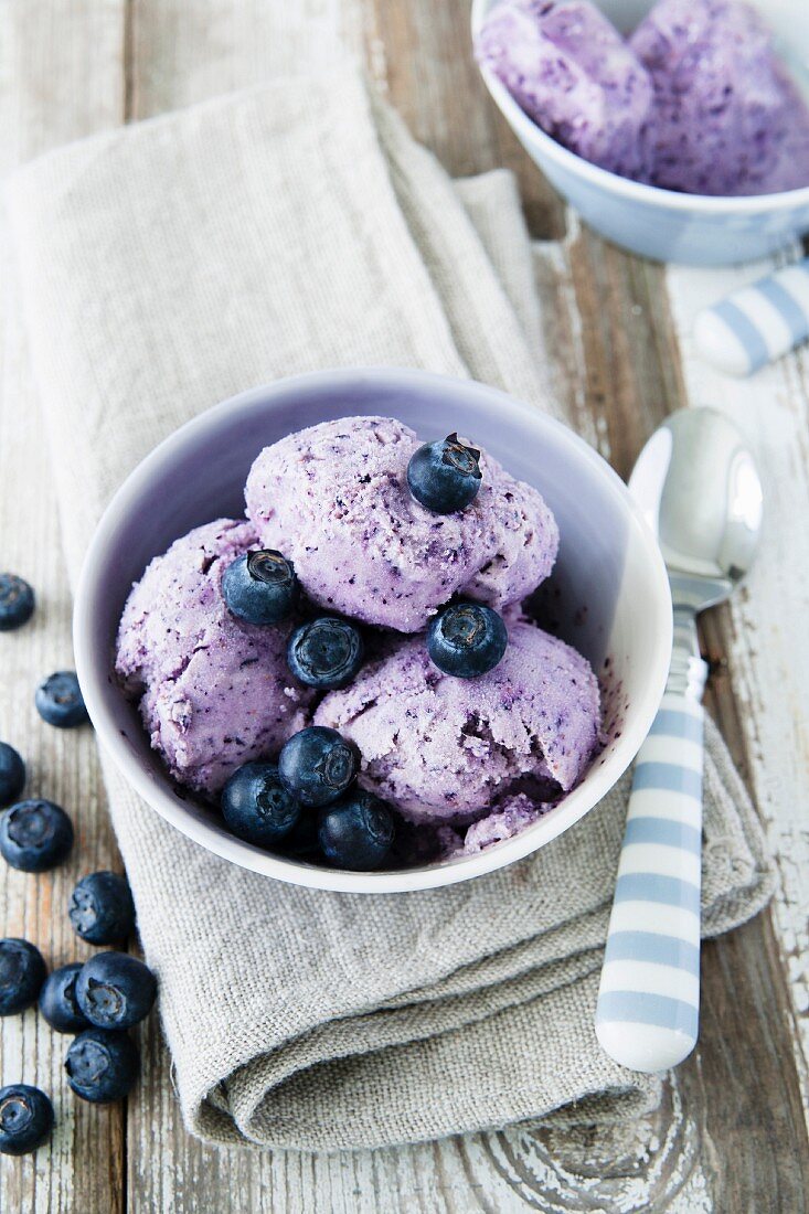 Blueberry ice cream with blueberries