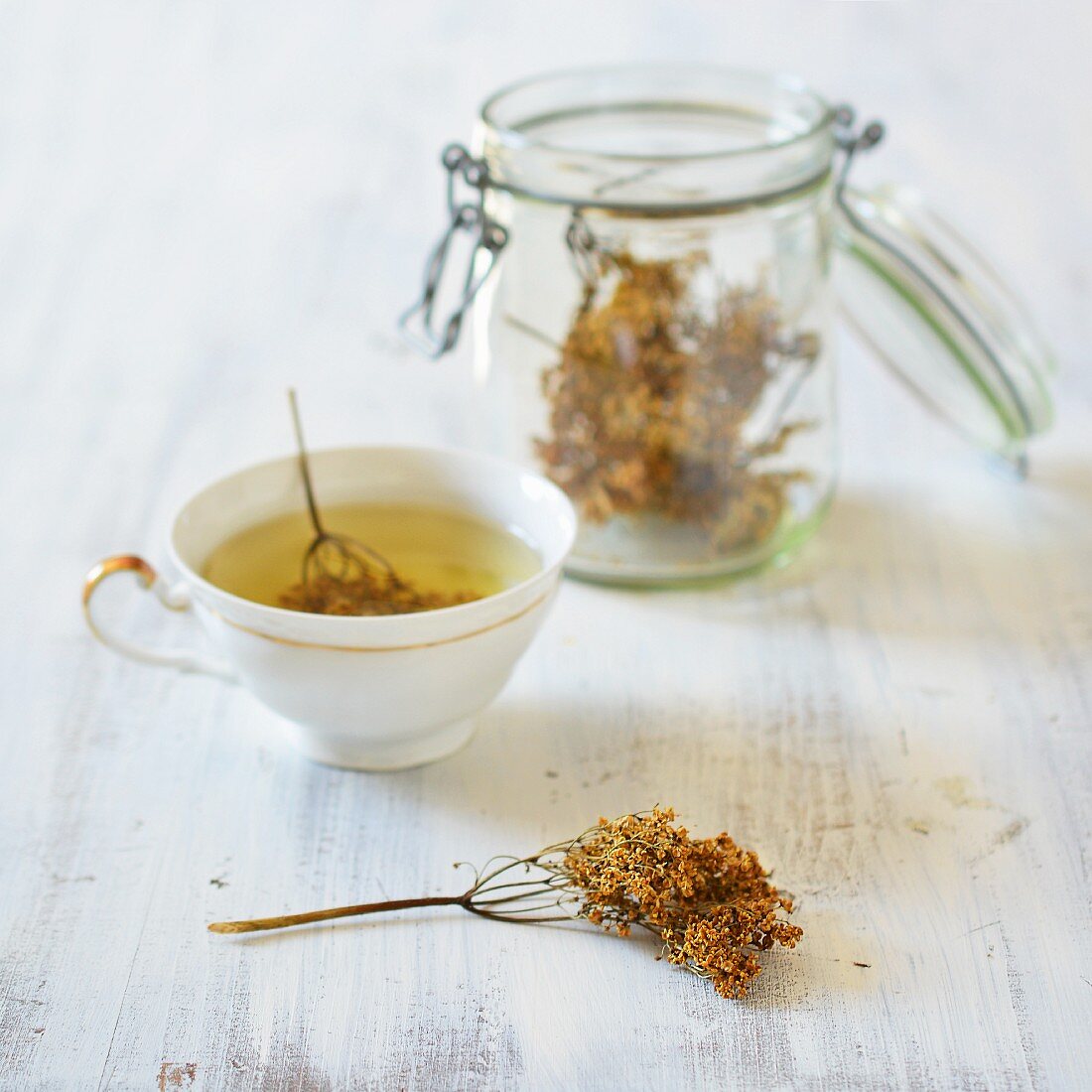 Elderflower tea in a cup with dried elderflower
